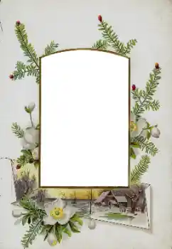 श्रेणी से फ़ोटो प्रभाव विभिन्न № 115833 श्रेणी से फ़ोटो प्रभाव विभिन्न № 115833