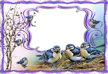 श्रेणी से फ़ोटो प्रभाव विभिन्न № 115877 श्रेणी से फ़ोटो प्रभाव विभिन्न № 115877