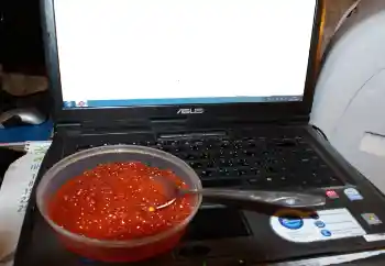 श्रेणी से फ़ोटो प्रभाव विभिन्न № 115910 श्रेणी से फ़ोटो प्रभाव विभिन्न № 115910