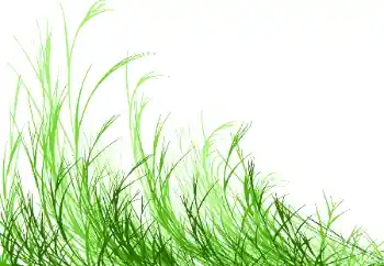 श्रेणी से फ़ोटो प्रभाव विभिन्न № 115932 श्रेणी से फ़ोटो प्रभाव विभिन्न № 115932