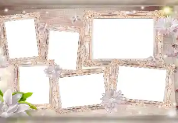 श्रेणी से फ़ोटो प्रभाव विभिन्न № 115976 श्रेणी से फ़ोटो प्रभाव विभिन्न № 115976