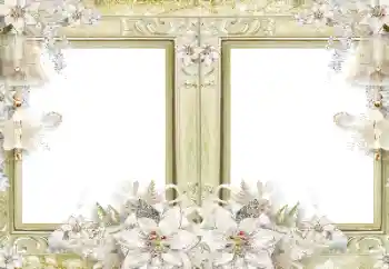 श्रेणी से फ़ोटो प्रभाव विभिन्न № 116108 श्रेणी से फ़ोटो प्रभाव विभिन्न № 116108