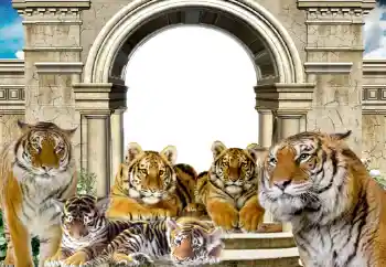 श्रेणी से फ़ोटो प्रभाव विभिन्न № 116203 श्रेणी से फ़ोटो प्रभाव विभिन्न № 116203