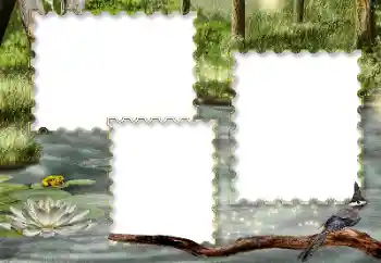 श्रेणी से फ़ोटो प्रभाव विभिन्न № 116216 श्रेणी से फ़ोटो प्रभाव विभिन्न № 116216