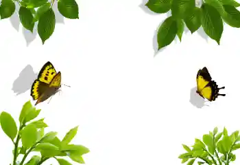 श्रेणी से फ़ोटो प्रभाव विभिन्न № 117282 श्रेणी से फ़ोटो प्रभाव विभिन्न № 117282