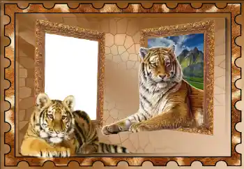 श्रेणी से फ़ोटो प्रभाव विभिन्न № 117310 श्रेणी से फ़ोटो प्रभाव विभिन्न № 117310