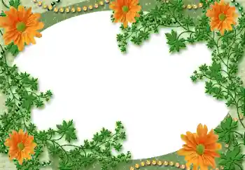 श्रेणी से फ़ोटो प्रभाव विभिन्न № 118929 श्रेणी से फ़ोटो प्रभाव विभिन्न № 118929