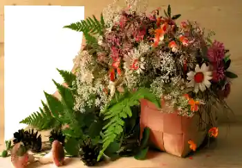 श्रेणी से फ़ोटो प्रभाव विभिन्न № 120020 श्रेणी से फ़ोटो प्रभाव विभिन्न № 120020