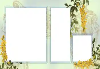 श्रेणी से फ़ोटो प्रभाव विभिन्न № 123242