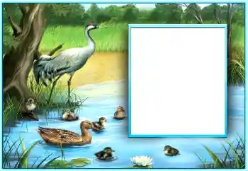 श्रेणी से फ़ोटो प्रभाव विभिन्न № 124254