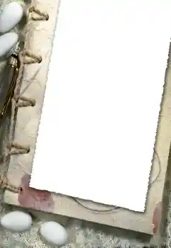 श्रेणी से फ़ोटो प्रभाव विभिन्न № 124343