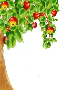 श्रेणी से फ़ोटो प्रभाव विभिन्न № 124400