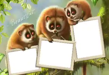 श्रेणी से फ़ोटो प्रभाव विभिन्न № 124434