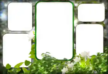 श्रेणी से फ़ोटो प्रभाव विभिन्न № 125911 श्रेणी से फ़ोटो प्रभाव विभिन्न № 125911