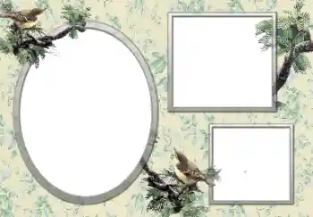 श्रेणी से फ़ोटो प्रभाव विभिन्न № 127132 श्रेणी से फ़ोटो प्रभाव विभिन्न № 127132