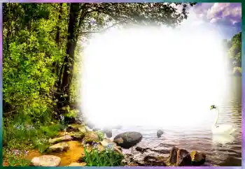 श्रेणी से फ़ोटो प्रभाव विभिन्न № 127169 श्रेणी से फ़ोटो प्रभाव विभिन्न № 127169