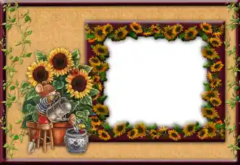 श्रेणी से फ़ोटो प्रभाव विभिन्न № 12849