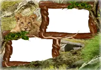 श्रेणी से फ़ोटो प्रभाव विभिन्न № 128637 श्रेणी से फ़ोटो प्रभाव विभिन्न № 128637