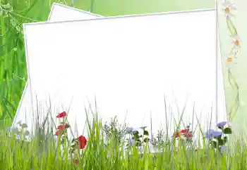 श्रेणी से फ़ोटो प्रभाव विभिन्न № 12902