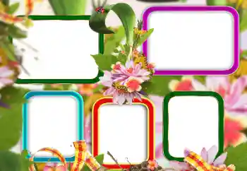 श्रेणी से फ़ोटो प्रभाव विभिन्न № 129813