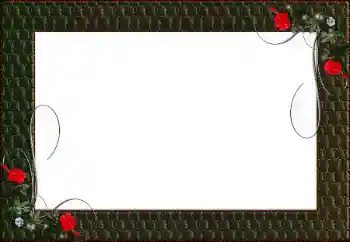 श्रेणी से फ़ोटो प्रभाव विभिन्न № 130469