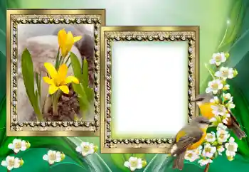 श्रेणी से फ़ोटो प्रभाव विभिन्न № 130649