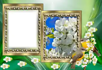 श्रेणी से फ़ोटो प्रभाव विभिन्न № 130650