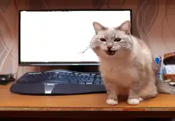 श्रेणी से फ़ोटो प्रभाव विभिन्न № 130940 श्रेणी से फ़ोटो प्रभाव विभिन्न № 130940