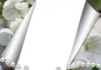 श्रेणी से फ़ोटो प्रभाव विभिन्न № 131361