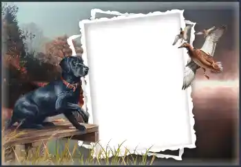 श्रेणी से फ़ोटो प्रभाव विभिन्न № 132874 श्रेणी से फ़ोटो प्रभाव विभिन्न № 132874