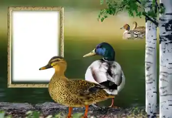 श्रेणी से फ़ोटो प्रभाव विभिन्न № 132884 श्रेणी से फ़ोटो प्रभाव विभिन्न № 132884