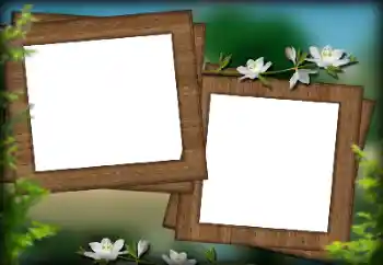 श्रेणी से फ़ोटो प्रभाव विभिन्न № 132936