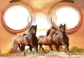 श्रेणी से फ़ोटो प्रभाव विभिन्न № 133286