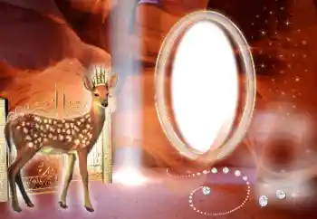 श्रेणी से फ़ोटो प्रभाव विभिन्न № 134444