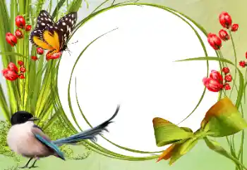 श्रेणी से फ़ोटो प्रभाव विभिन्न № 138546 श्रेणी से फ़ोटो प्रभाव विभिन्न № 138546