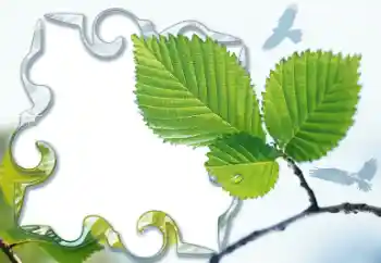 श्रेणी से फ़ोटो प्रभाव विभिन्न № 13921