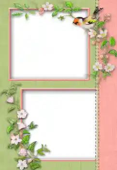 श्रेणी से फ़ोटो प्रभाव विभिन्न № 13930