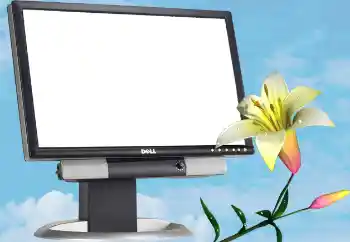 श्रेणी से फ़ोटो प्रभाव विभिन्न № 13988