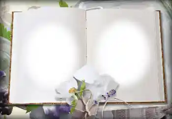 श्रेणी से फ़ोटो प्रभाव विभिन्न № 139914 श्रेणी से फ़ोटो प्रभाव विभिन्न № 139914