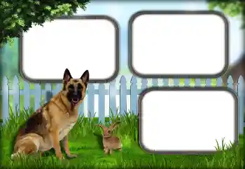 श्रेणी से फ़ोटो प्रभाव विभिन्न № 139921 श्रेणी से फ़ोटो प्रभाव विभिन्न № 139921