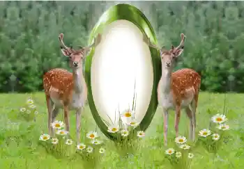 श्रेणी से फ़ोटो प्रभाव विभिन्न № 142259 श्रेणी से फ़ोटो प्रभाव विभिन्न № 142259