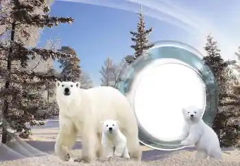 श्रेणी से फ़ोटो प्रभाव विभिन्न № 143683