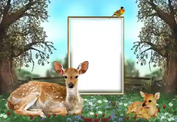 श्रेणी से फ़ोटो प्रभाव विभिन्न № 143762