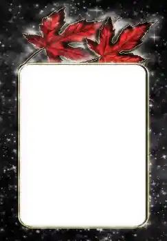 श्रेणी से फ़ोटो प्रभाव विभिन्न № 144867 श्रेणी से फ़ोटो प्रभाव विभिन्न № 144867