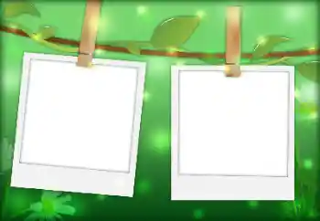 श्रेणी से फ़ोटो प्रभाव विभिन्न № 144901