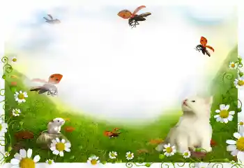 श्रेणी से फ़ोटो प्रभाव विभिन्न № 144908