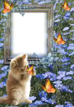 श्रेणी से फ़ोटो प्रभाव विभिन्न № 147609 श्रेणी से फ़ोटो प्रभाव विभिन्न № 147609