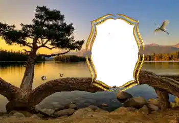 श्रेणी से फ़ोटो प्रभाव विभिन्न № 147663 श्रेणी से फ़ोटो प्रभाव विभिन्न № 147663