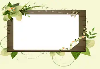 श्रेणी से फ़ोटो प्रभाव विभिन्न № 14896