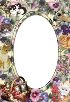 श्रेणी से फ़ोटो प्रभाव विभिन्न № 14919